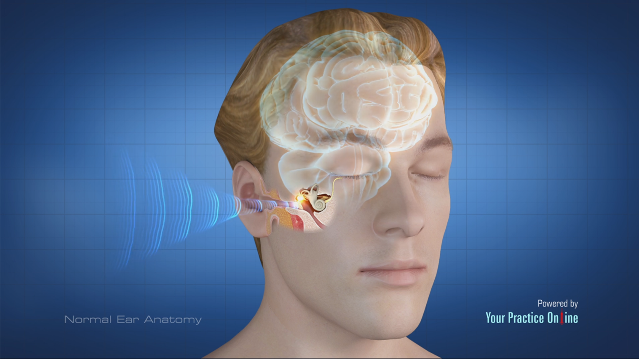 Normal Ear Anatomy Video | Medical Video Library